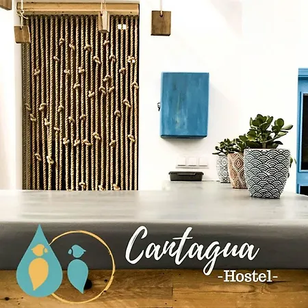 Cantagua * Валенсия